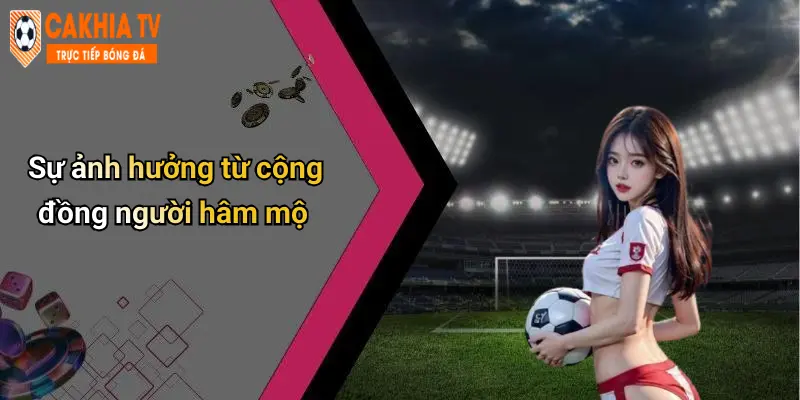 Sự ảnh hưởng từ cộng đồng người hâm mộ